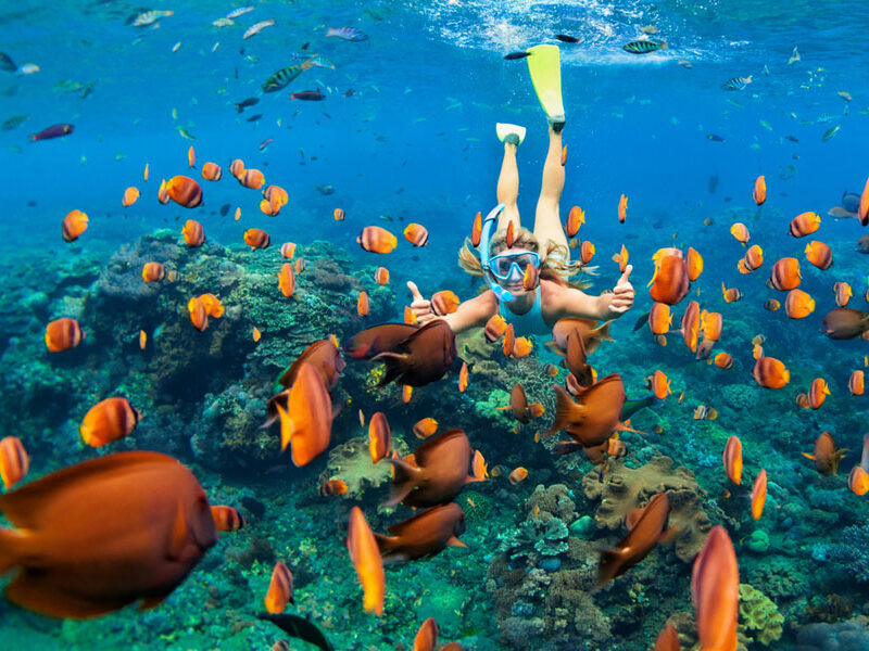 NUSA LEMBONGAN LAND TOUR WITH SNORKELING AT MANGROVE POINT