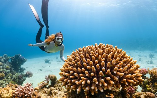 NUSA LEMBONGAN LAND TOUR WITH SNORKELING AT MANGROVE POINT - Image 5