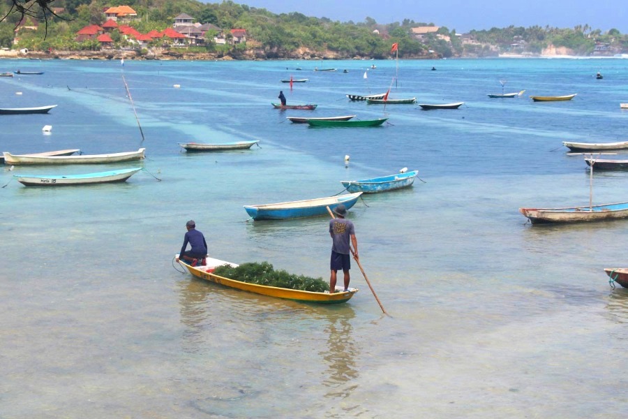 NUSA LEMBONGAN LAND TOUR WITH MANGROVE TOUR - Image 5