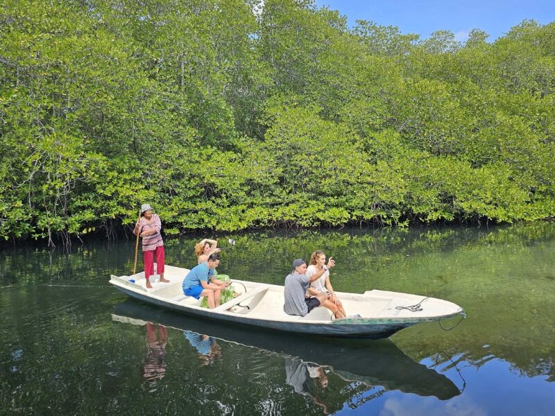 NUSA LEMBONGAN LAND TOUR WITH MANGROVE TOUR