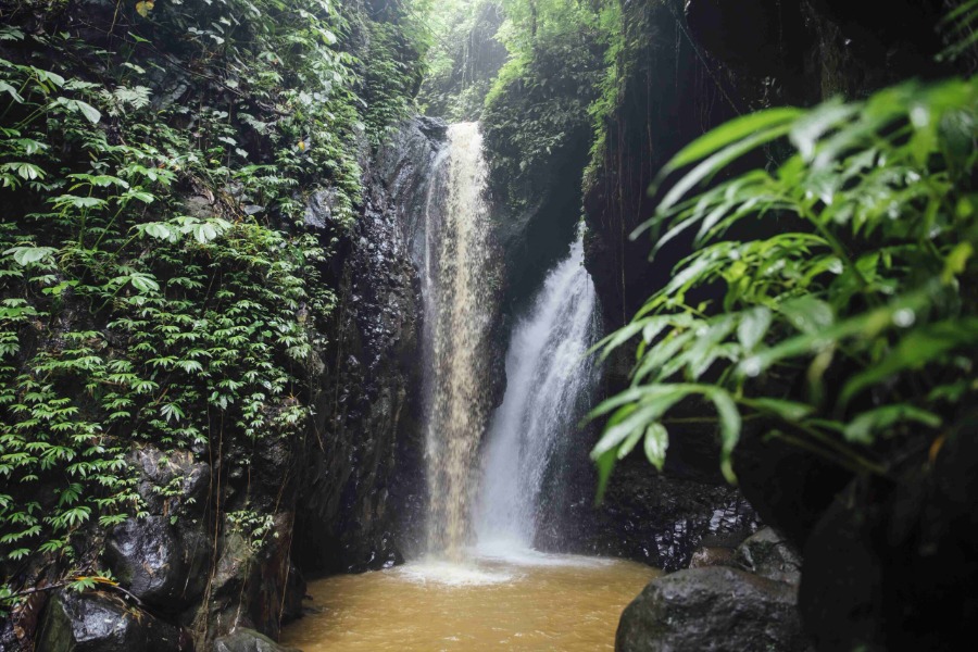NORTH BALI TOUR - Image 3