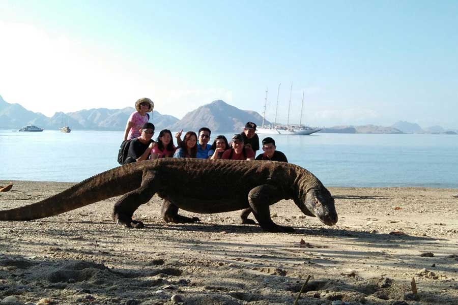 ONE DAY TRIP LABUAN BAJO - Image 3