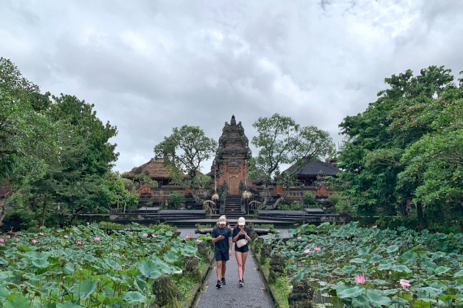 BALI UBUD TOUR - Image 5