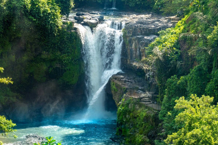 BALI UBUD TOUR - Image 4